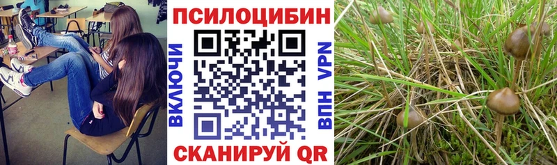 Псилоцибиновые грибы Cubensis  наркотики  Сим 